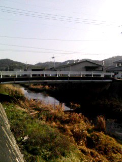 100104_1018~001.jpg