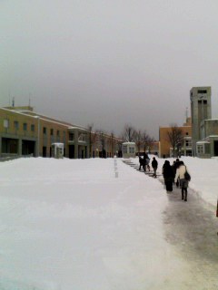 111207_0839~001.jpg
