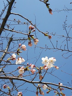 DSC_0097a.jpg
