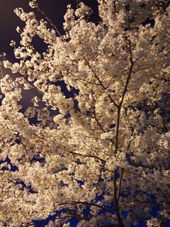 DSC_0554a.jpg