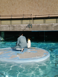 DSC_1456a.jpg
